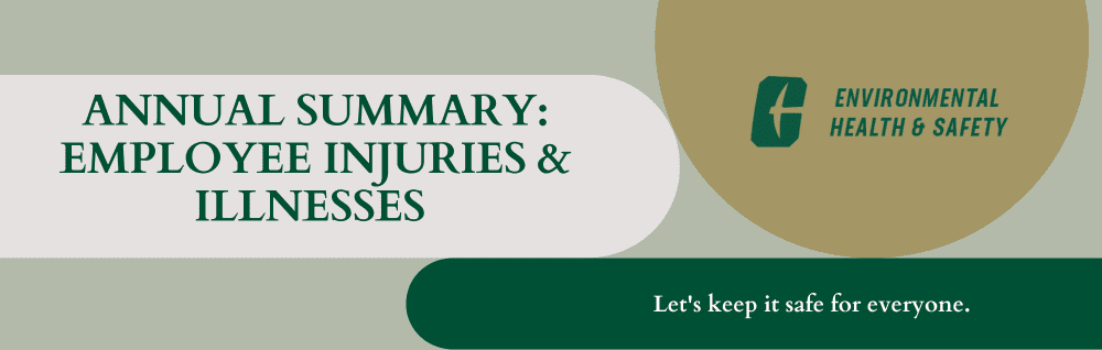 Annual Summary: Employee Injuries & Illnesses